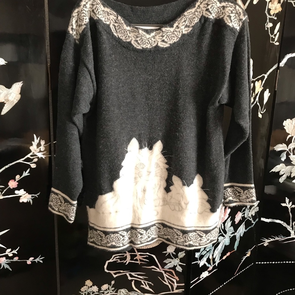 🦝 Cat pull on sweater.